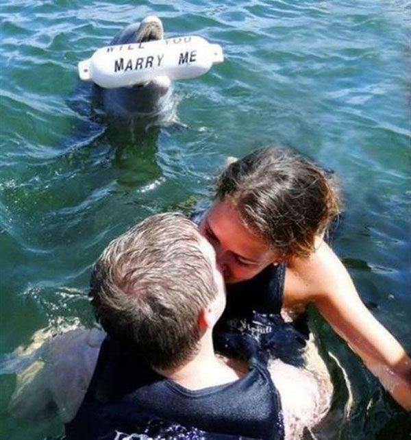 Marriage Proposal In Water Shark With Marry Me Balloon