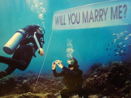 Marriage Proposal Under Sea Picture