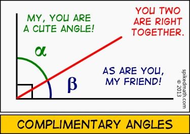 Math Complimentary Angles Funny Picture