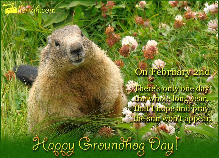 On February 2nd There's Only One Day The Whole Long Year That I Hope And Pray The Sun Won't Appear Happy Groundhog Day