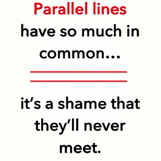Parallel Lines Have So Much In Common Funny Picture