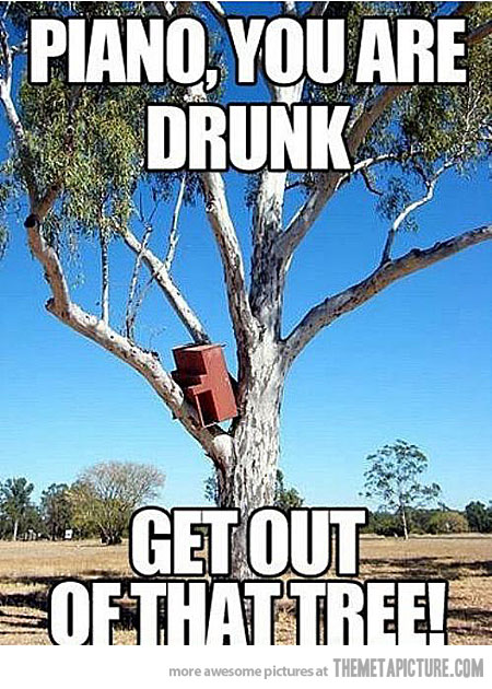 Piano You Are Drunk Get Of That Tree Funny Meme