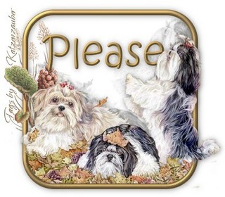 Please Dogs Picture