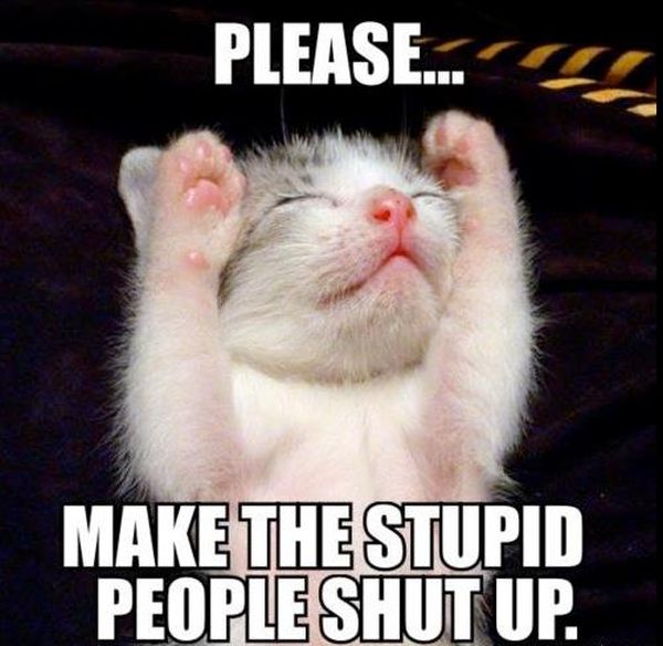 Please Make The Stupid People Shut Up Cat Picture