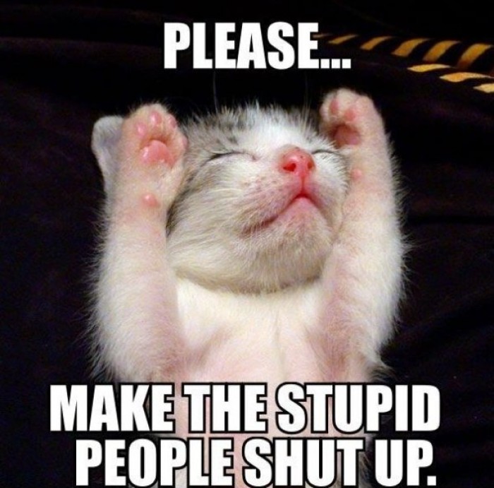 Please Make The Stupid People Shut Up Funny Idiot Picture