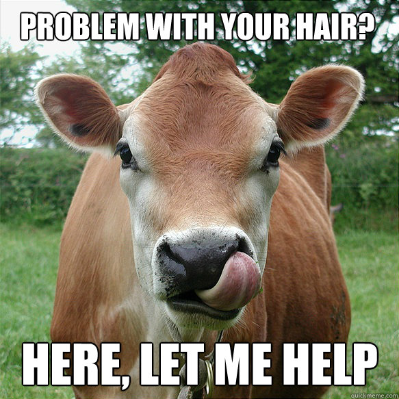Problem With Your Hair Funny Cow Meme