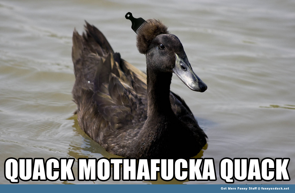 Quack Mothafucka Quack Funny Duck Caption