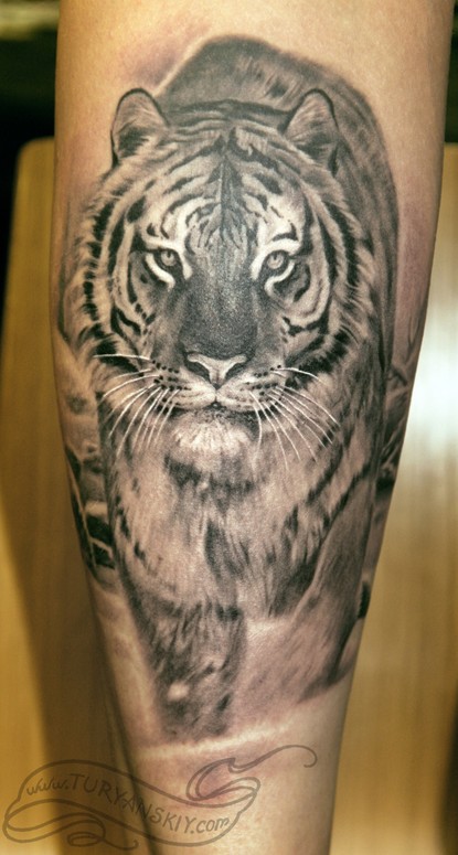 Realistic Black And Grey Tiger Tattoo On Leg Calf