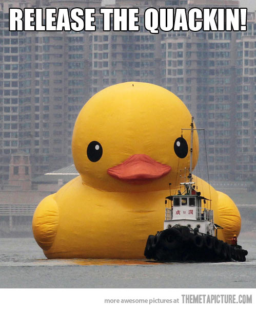 Release The Quackin Funny Duck Caption