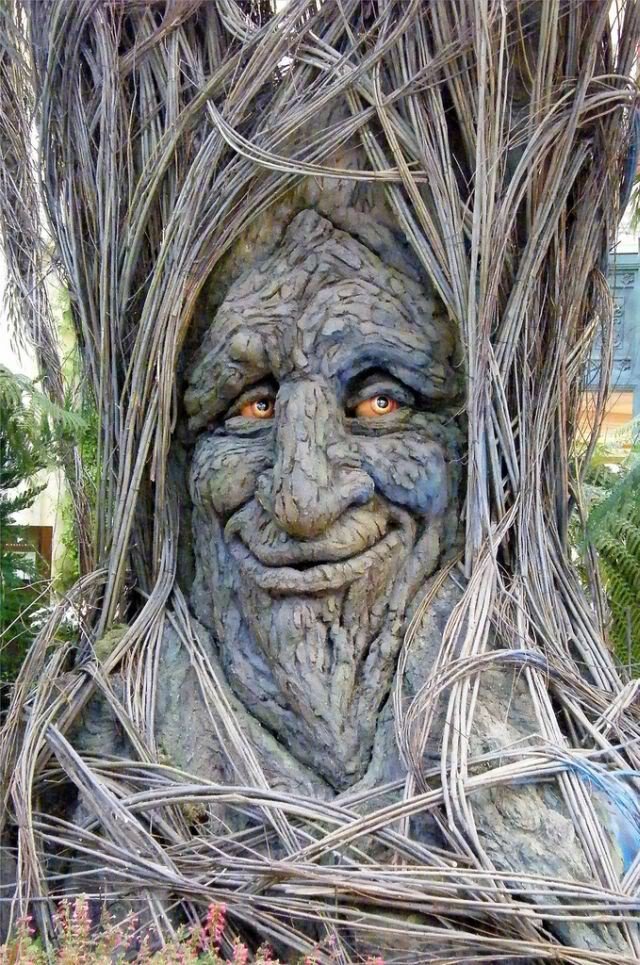 Smiling Face Funny Tree Picture