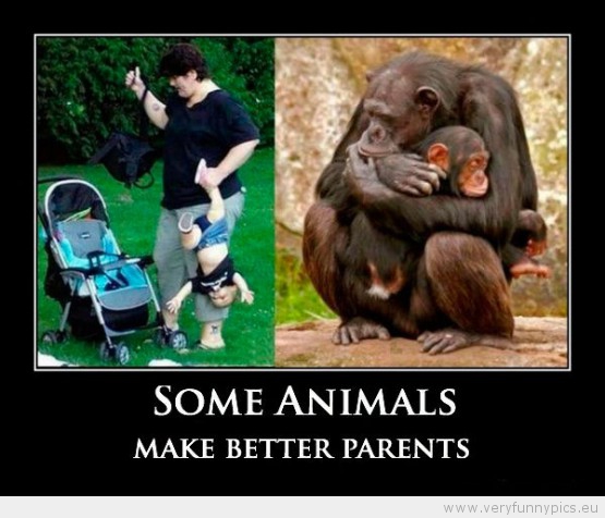 Some Animals Make Better Parents Funny Poster