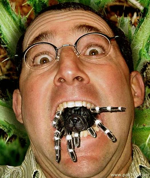 Spider On Mouth Funny Picture