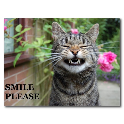 Tabby Cat Says Smile Please