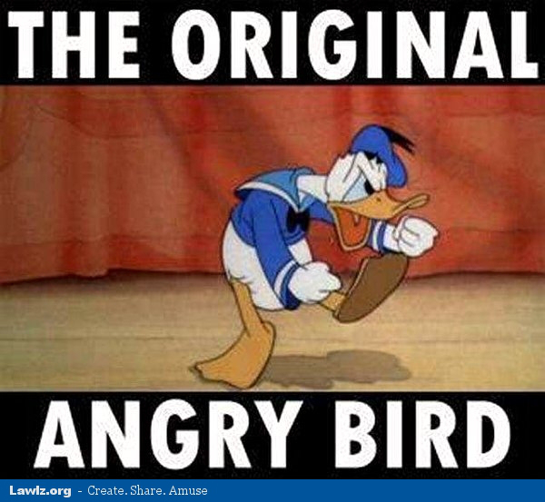 The Original Angry Bird Funny Duck Picture