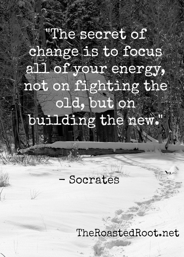 The secret of change is to focus all of your energy, not on fighting the old, but on building the new (10)