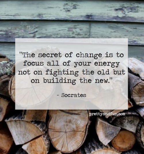 The secret of change is to focus all of your energy, not on fighting the old, but on building the new