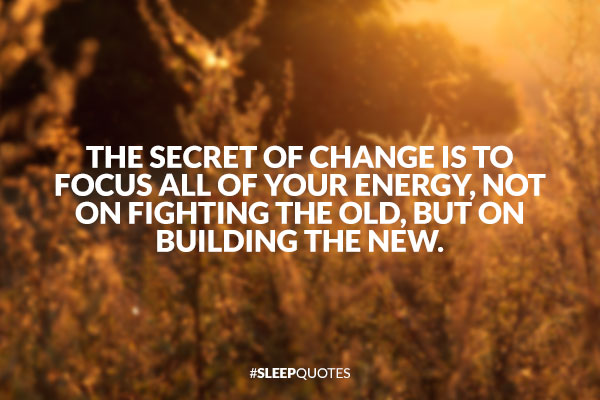 The secret of change is to focus all of your energy, not on fighting the old, but on building the new (4)
