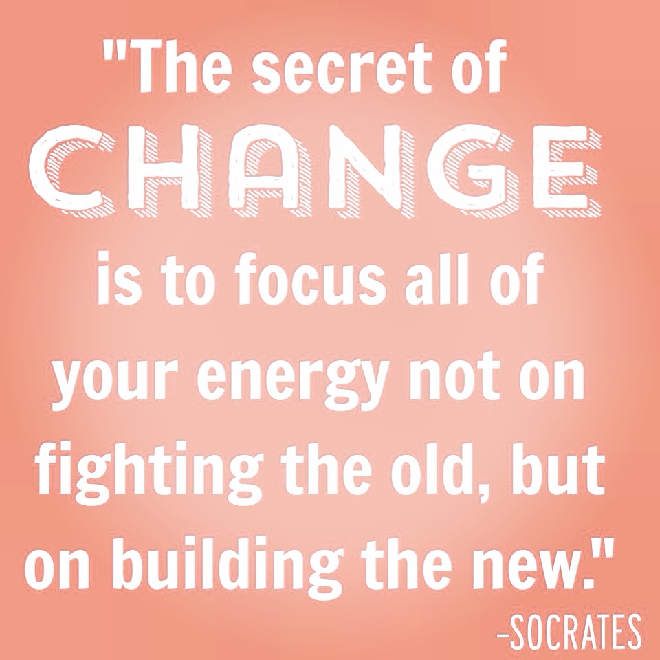 The secret of change is to focus all of your energy, not on fighting the old, but on building the new (9)