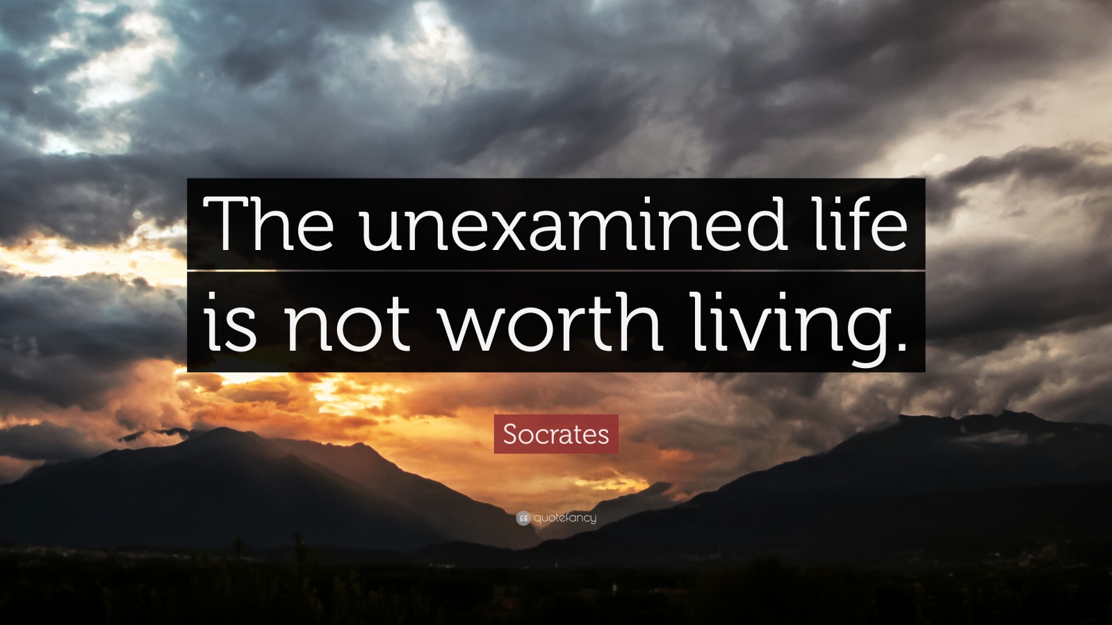 the unexamined life is not worth living essay