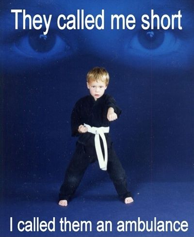 They Called Me Short I Called Them An Ambulance Funny Karate Image