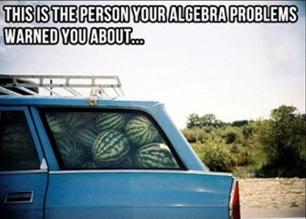 This Is The Person Your Algebra Problems Warned You About Funny Math Picture