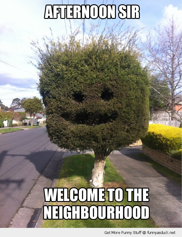 Tree Smiling Face Funny Picture