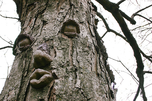 Tree With Sad Face Funny Image
