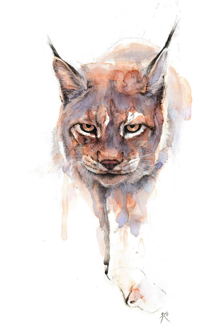 Watercolor Lynx Head Tattoo Design By Simon