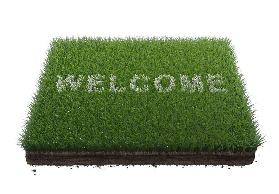 Welcome Grass Door Mat Picture