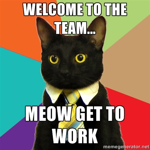 Welcome To The Team Meow Get To Work