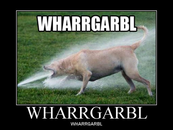 Wharrgarbl Nonsense Dog Picture