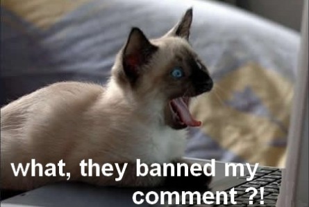 What They Banned My Comment Funny Online Image