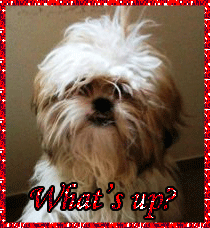 What's Up Dog Glitter Gif Image