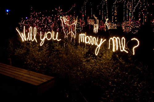 Will You Marry Me Lights Picture