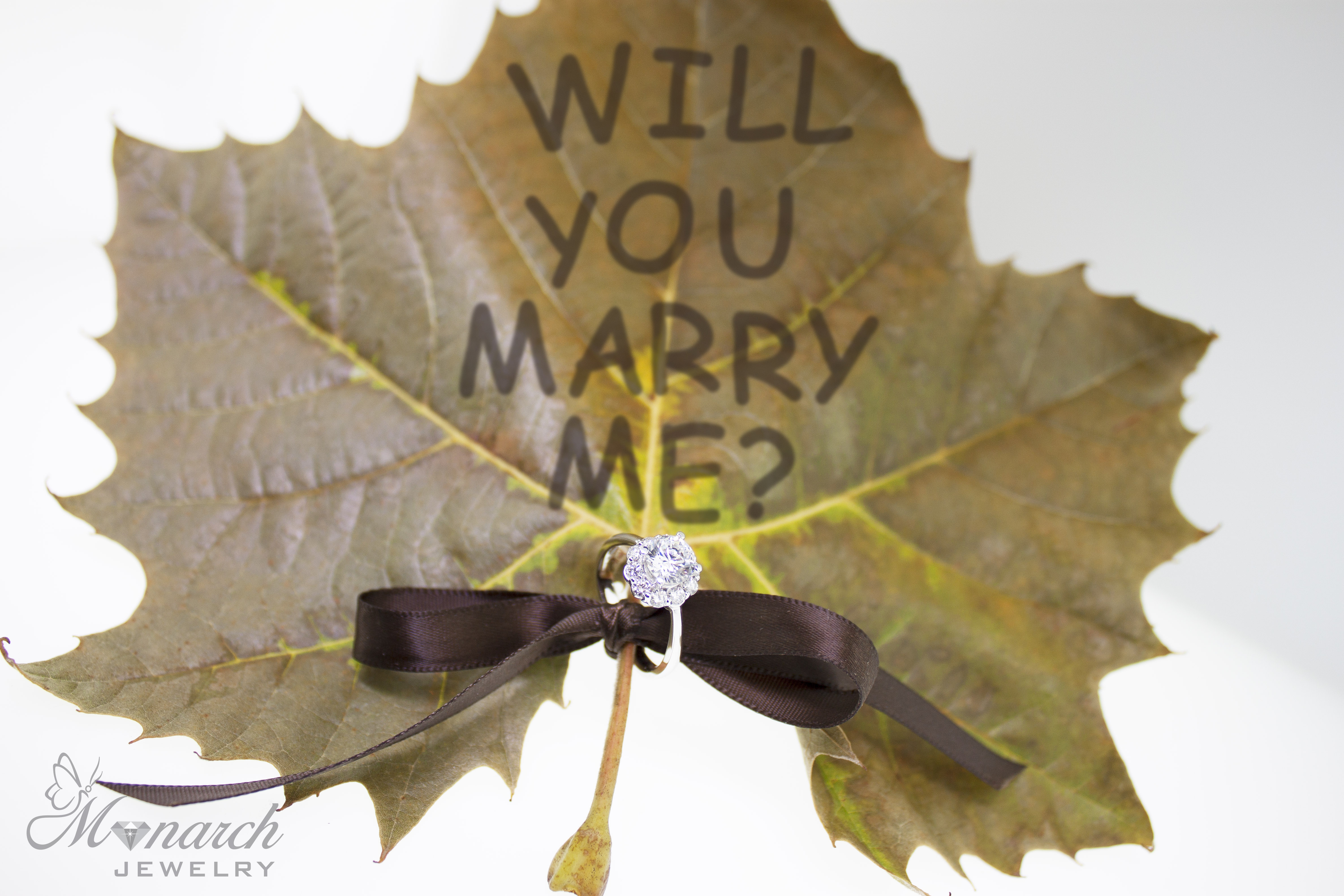 Will You Marry Me On Maple Leaf Picture