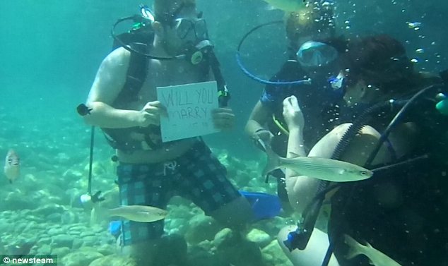 Will You Marry Me Under Water