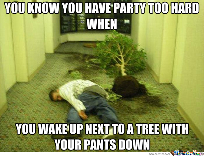 You Know You have Party Too Hard When Funny Tree Meme