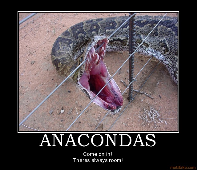 Anacondas Come On In There’s Always Room Funny Snake Poster
