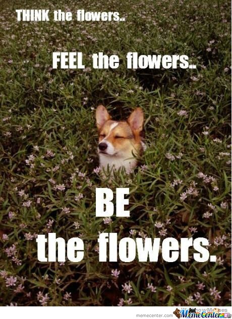Be The Flowers Funny Meme