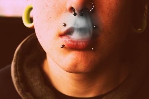 Beautiful Nose Septum And Canine Bites Piercing Picture