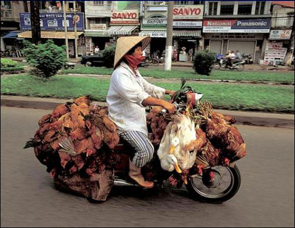 Bike With Chicken Loaded Funny Picture