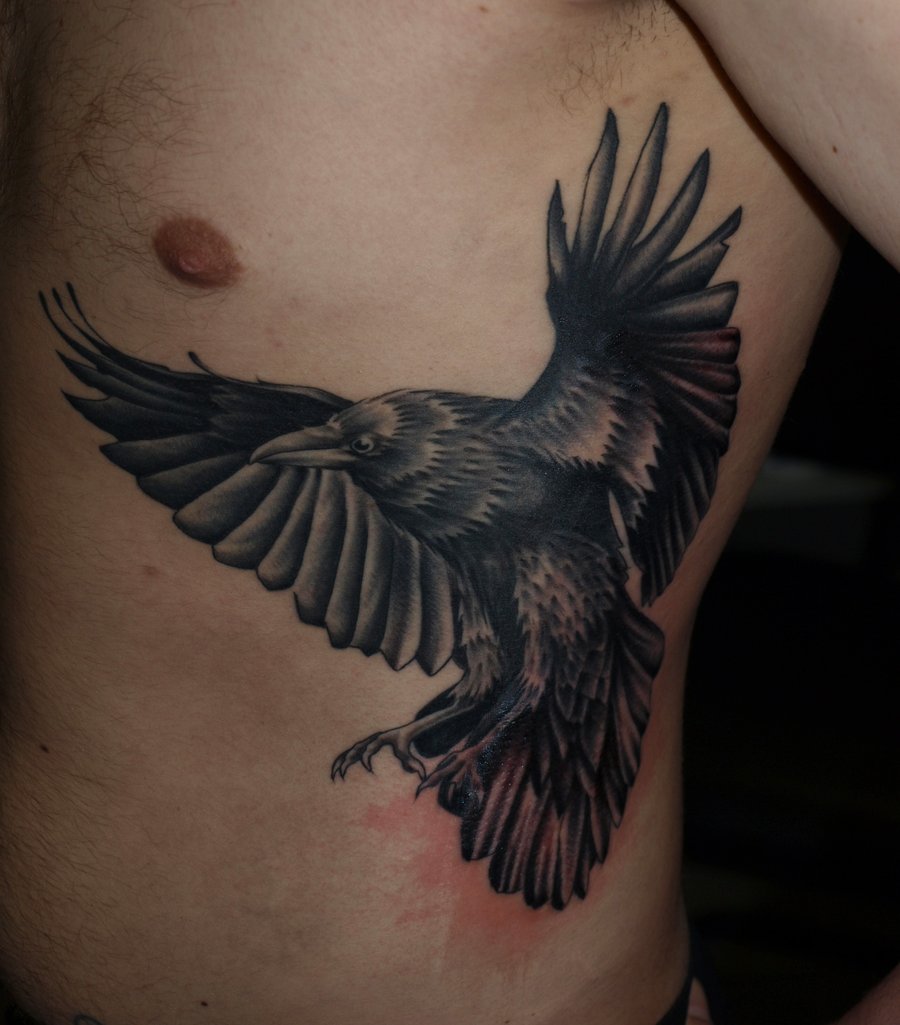 Black And Grey Flying Crow Tattoo On Man Side Rib