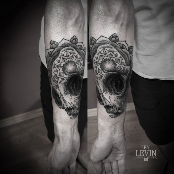 Black And Grey Mandala Cat Skull Tattoo On Forearm By Ien Levin
