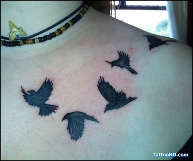 Black Flying Crows Tattoo On Left Front Shoulder