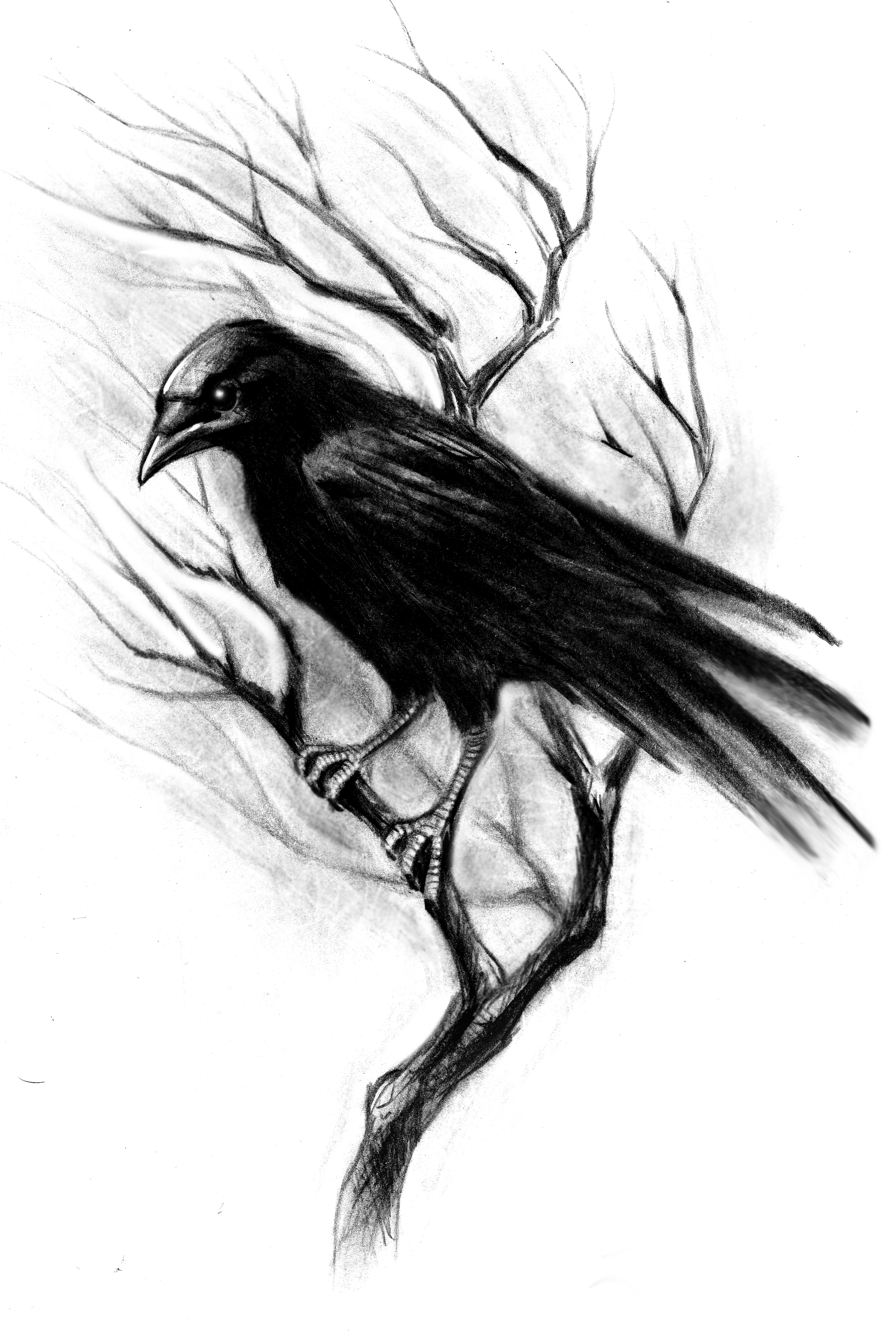 Black Ink Crow Sit On Tree Without Leaves Tattoo Design