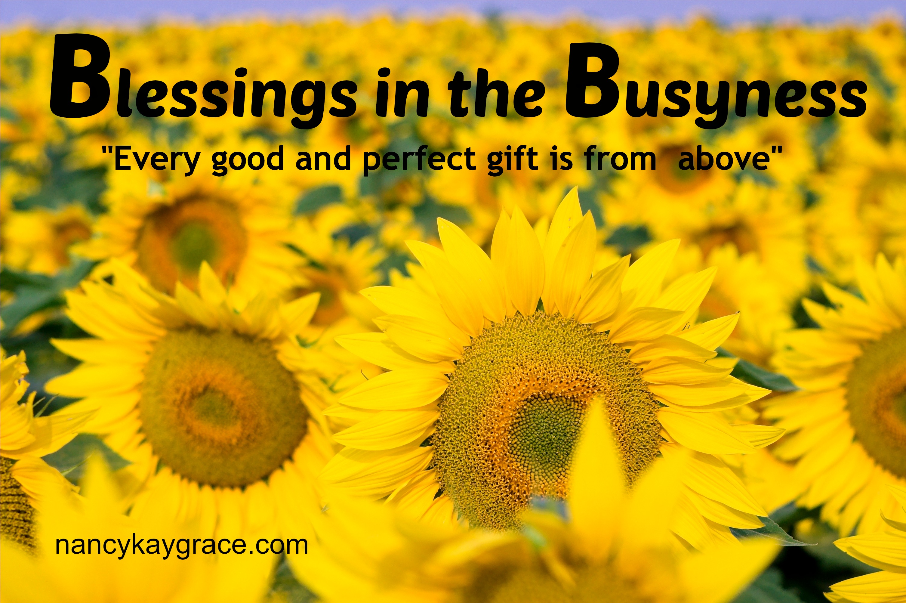 Blessings In The Busyness