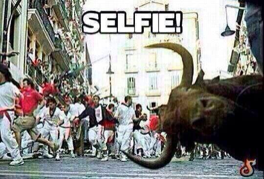 Bull Taking Selfie Funny Image