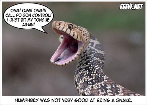 Call Poison Control I Just Bit My Tongue Again Funny Snake Meme