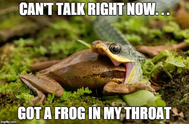 Can't Talk Right Now got A Frog In My Throat Funny Snake Meme