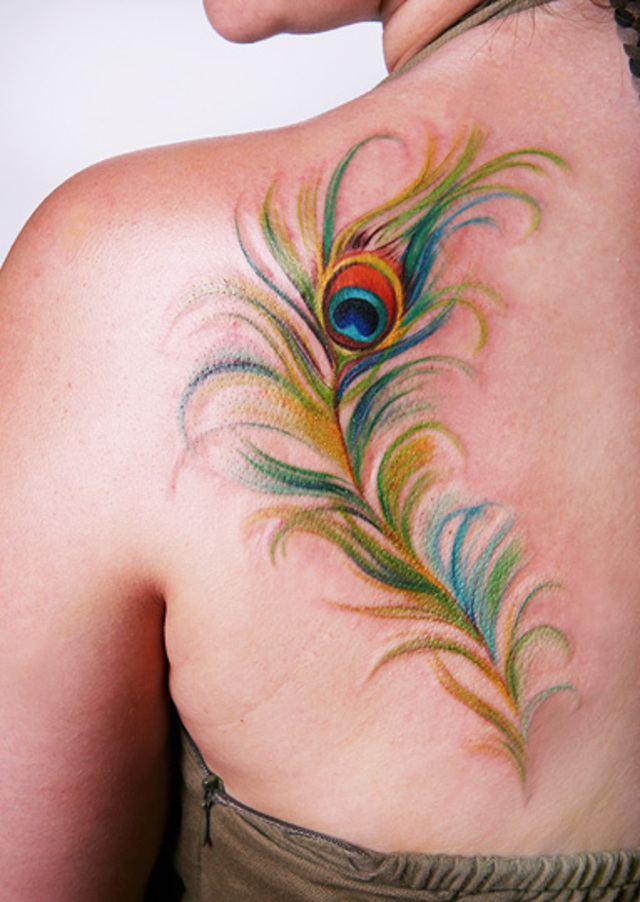 Colorful Feather Tattoo On Girl Left Back Shoulder